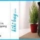 a potted fern next to a christmas-tree emblazoned gift bag